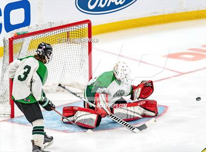 Thumbnail 2 in Hopkinton vs Wachusett Regional (MIAA Division 3 State Final) photogallery.