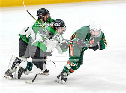 Thumbnail 1 in Hopkinton vs Wachusett Regional (MIAA Division 3 State Final) photogallery.
