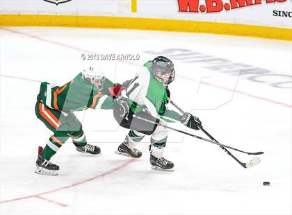 Thumbnail 1 in Hopkinton vs Wachusett Regional (MIAA Division 3 State Final) photogallery.