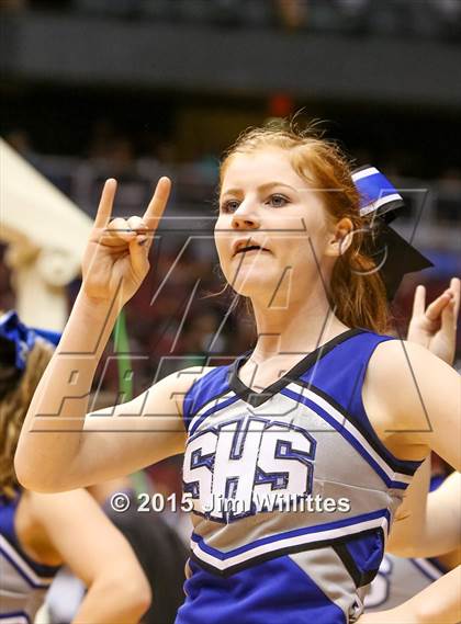 Thumbnail 3 in Snowflake vs. Combs (AIA Division 3 Final) photogallery.