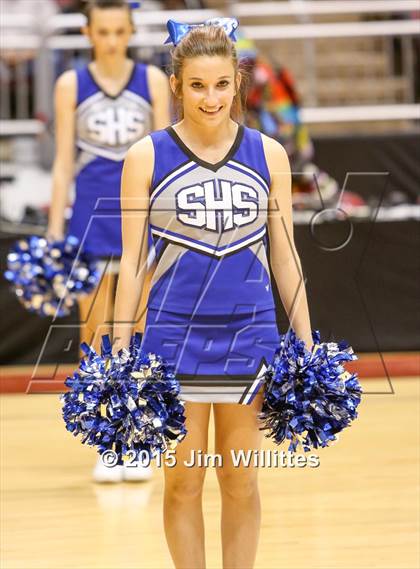 Thumbnail 2 in Snowflake vs. Combs (AIA Division 3 Final) photogallery.