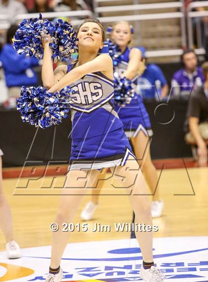 Thumbnail 2 in Snowflake vs. Combs (AIA Division 3 Final) photogallery.
