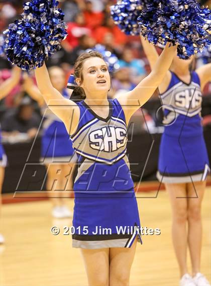 Thumbnail 3 in Snowflake vs. Combs (AIA Division 3 Final) photogallery.
