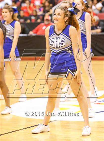 Thumbnail 3 in Snowflake vs. Combs (AIA Division 3 Final) photogallery.