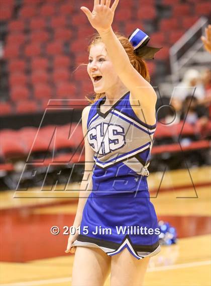 Thumbnail 2 in Snowflake vs. Combs (AIA Division 3 Final) photogallery.