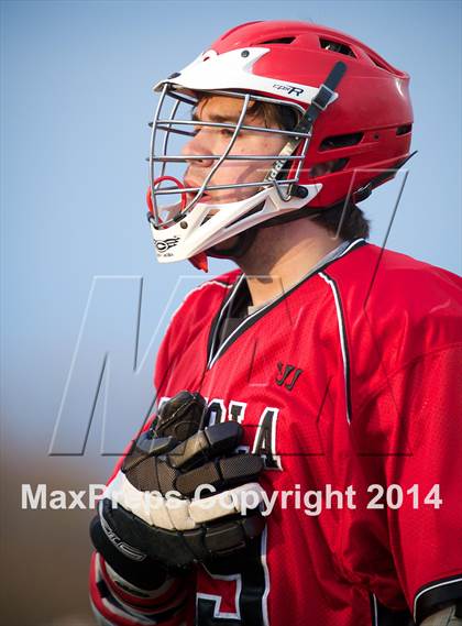 Thumbnail 2 in Mineola @ Cold Spring Harbor photogallery.
