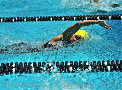 Thumbnail 1 in CIF SS D2 Girls Swimming Championships photogallery.