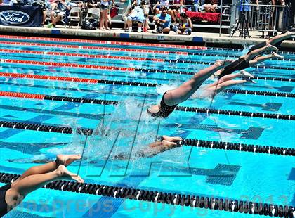 Thumbnail 1 in CIF SS D2 Girls Swimming Championships photogallery.