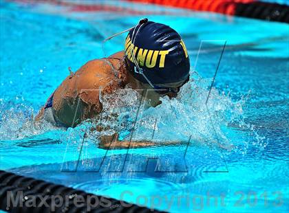 Thumbnail 3 in CIF SS D2 Girls Swimming Championships photogallery.