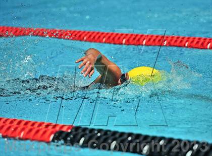 Thumbnail 2 in CIF SS D2 Girls Swimming Championships photogallery.