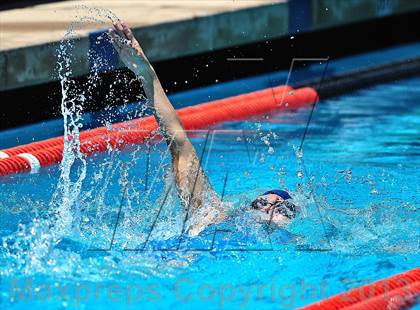 Thumbnail 1 in CIF SS D2 Girls Swimming Championships photogallery.