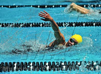 Thumbnail 3 in CIF SS D2 Girls Swimming Championships photogallery.