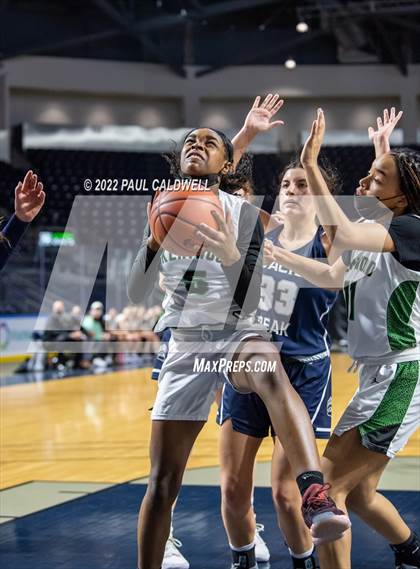 Thumbnail 3 in Kentwood @ Glacier Peak (Kings Showcase) photogallery.