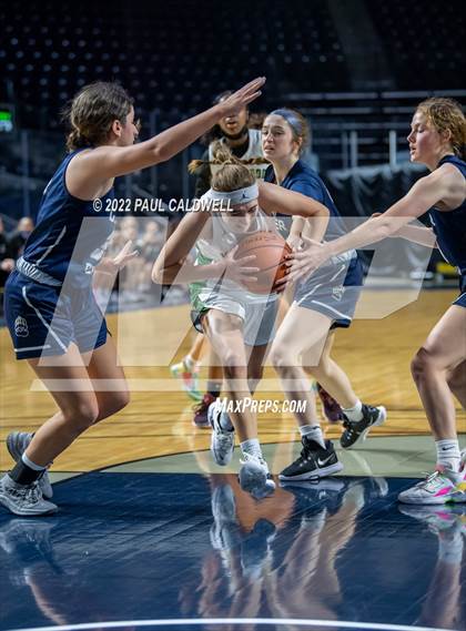 Thumbnail 3 in Kentwood @ Glacier Peak (Kings Showcase) photogallery.