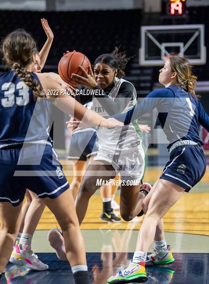 Thumbnail 3 in Kentwood @ Glacier Peak (Kings Showcase) photogallery.