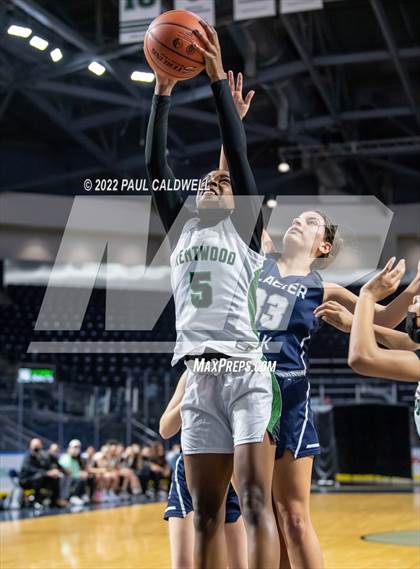 Thumbnail 1 in Kentwood @ Glacier Peak (Kings Showcase) photogallery.