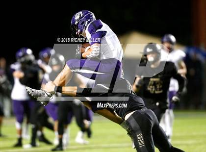 Thumbnail 2 in Fayetteville @ Bentonville photogallery.