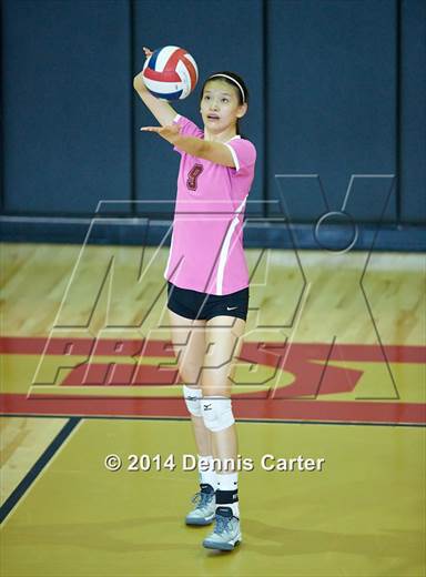 null - Photo 01