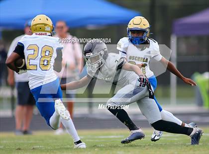 Thumbnail 1 in Osceola @ Windermere (Spring game @ Windermere Jamboree) photogallery.