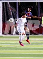 Photo from the gallery "Mt. Eden @ Dublin"