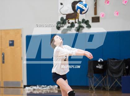 Thumbnail 3 in Thibodaux @ Ursuline Academy photogallery.