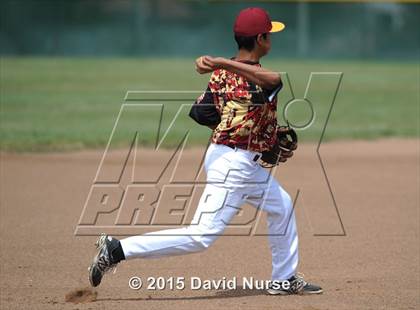 Thumbnail 1 in Knight vs. Highland photogallery.