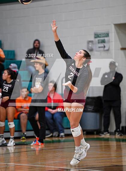 Thumbnail 1 in Thorndale vs. Schulenburg (UIL 2A Region 4 Area Playoff) photogallery.
