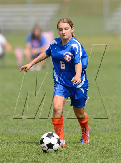 Thumbnail 3 in Livonia @ Haverling photogallery.