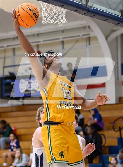 Thumbnail 3 in Pine Forest @ Terry Sanford photogallery.