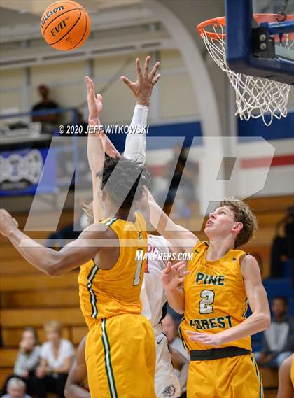 Thumbnail 1 in Pine Forest @ Terry Sanford photogallery.