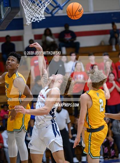 Thumbnail 1 in Pine Forest @ Terry Sanford photogallery.