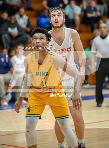 Thumbnail 3 in Pine Forest @ Terry Sanford photogallery.