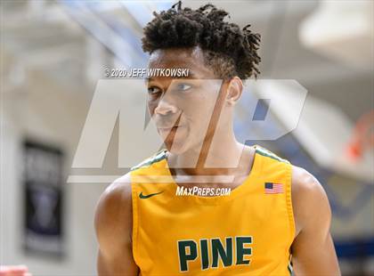 Thumbnail 1 in Pine Forest @ Terry Sanford photogallery.