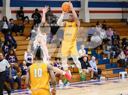Thumbnail 3 in Pine Forest @ Terry Sanford photogallery.