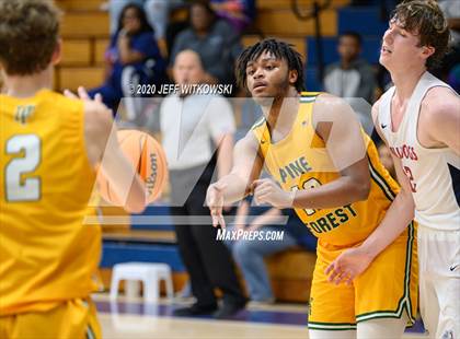 Thumbnail 2 in Pine Forest @ Terry Sanford photogallery.