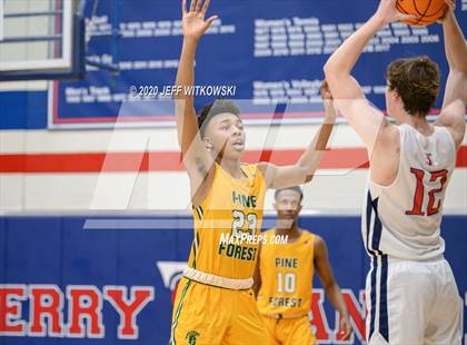 Thumbnail 3 in Pine Forest @ Terry Sanford photogallery.