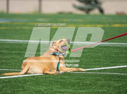 Thumbnail 2 in Mountain Vista @ Dakota Ridge photogallery.