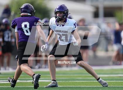 Thumbnail 3 in College Station (Spring Game) photogallery.