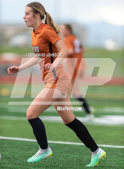 Thumbnail 2 in Windsor @ Mead (CHSAA 4A Quarterfinal) photogallery.