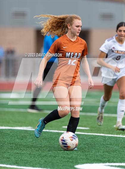 Thumbnail 1 in Windsor @ Mead (CHSAA 4A Quarterfinal) photogallery.