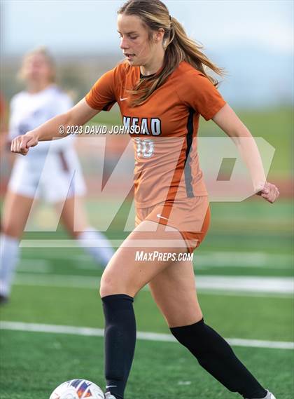 Thumbnail 1 in Windsor @ Mead (CHSAA 4A Quarterfinal) photogallery.