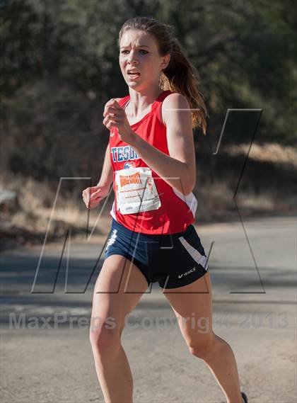 Thumbnail 1 in Orange County Cross Country Championships (Championship Race) photogallery.