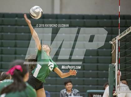 Thumbnail 3 in Reedley @ Hoover photogallery.