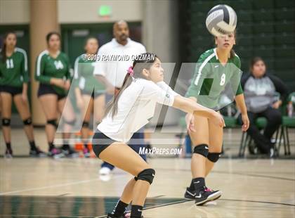 Thumbnail 1 in Reedley @ Hoover photogallery.