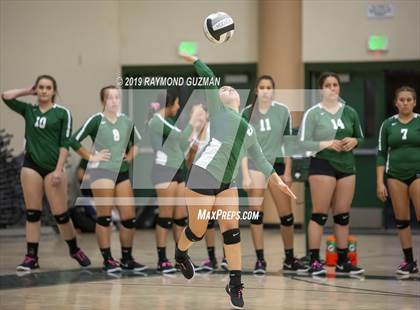 Thumbnail 3 in Reedley @ Hoover photogallery.