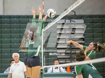 Thumbnail 3 in Reedley @ Hoover photogallery.