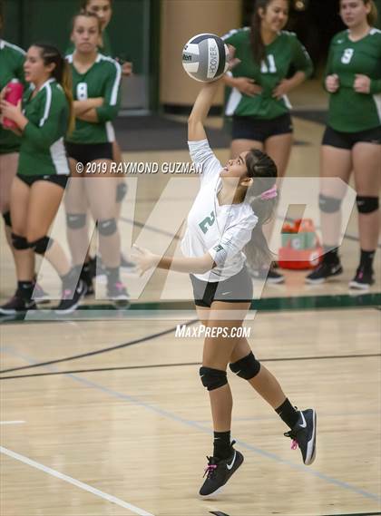 Thumbnail 2 in Reedley @ Hoover photogallery.