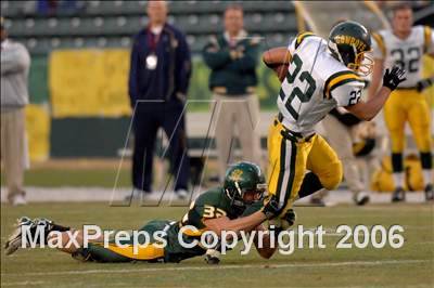 null - Photo 11