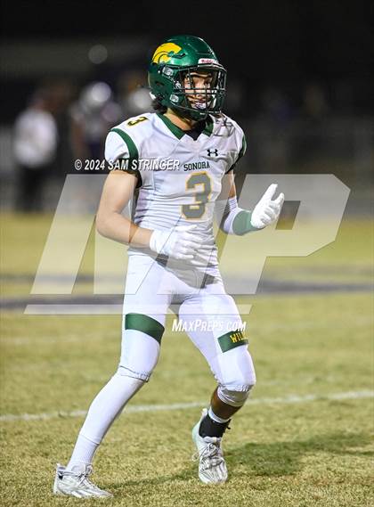 Thumbnail 3 in Sonora @ Escalon photogallery.