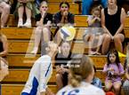 Photo from the gallery "Monache @ Exeter"